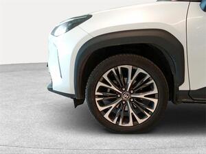 4e814432-9c50-441d-855f-2d65ce873a62