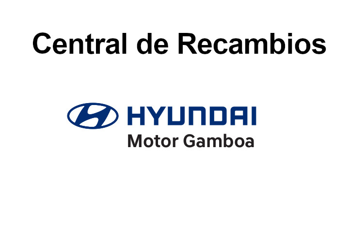 Central de Recambios oficial Hyundai Madrid -Zona Sur