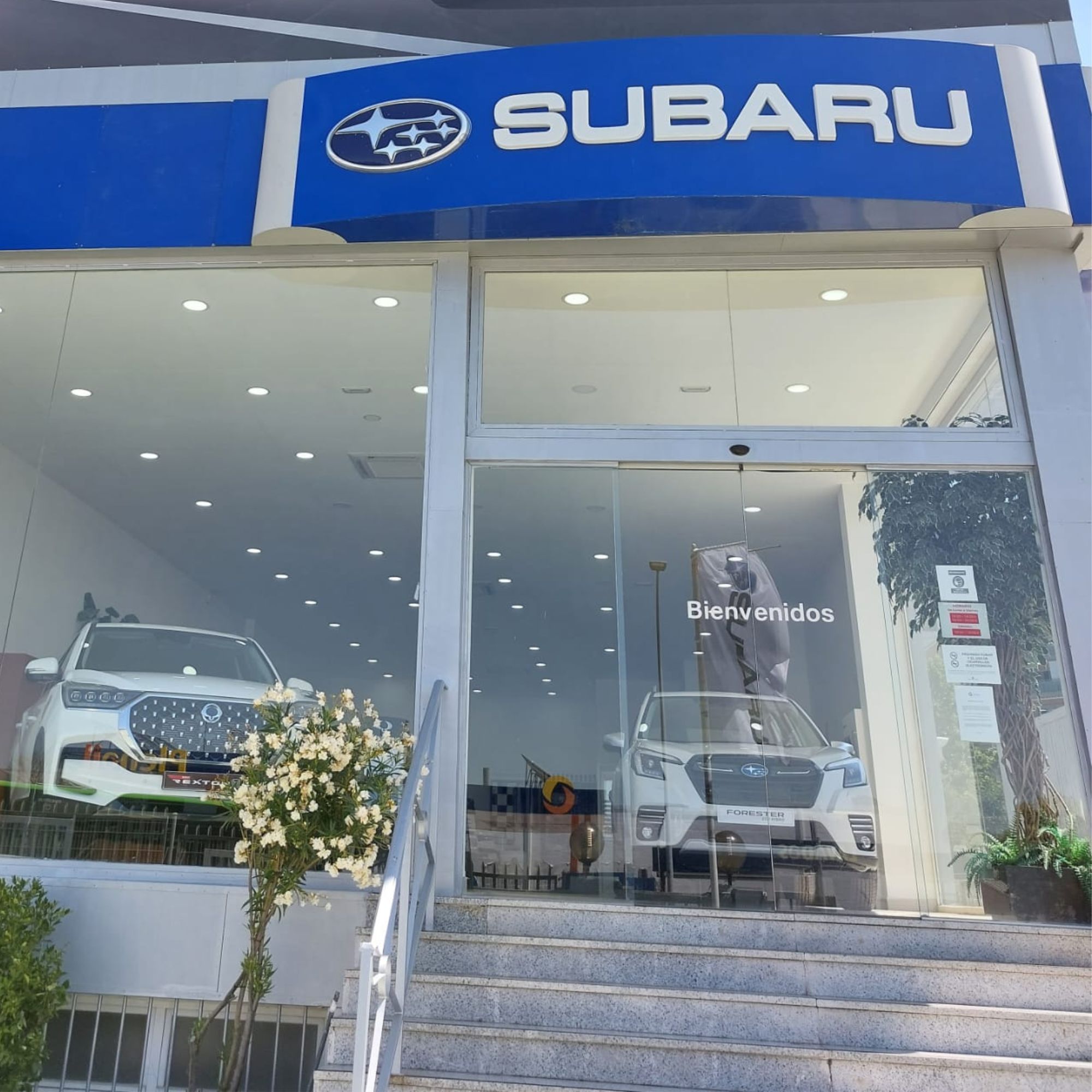 Concesionario Subaru en Rivas