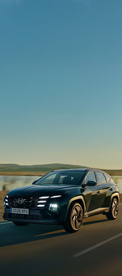 hyundai motor gamboa