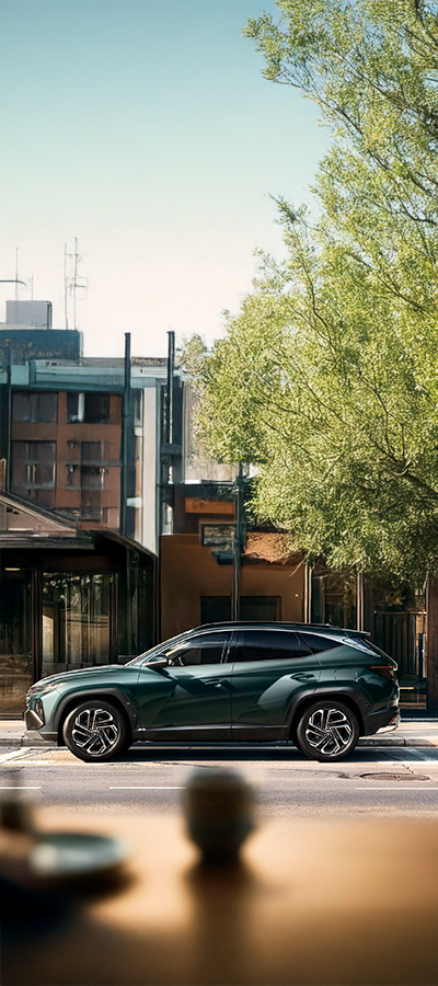 hyundai-tucson-gamboa