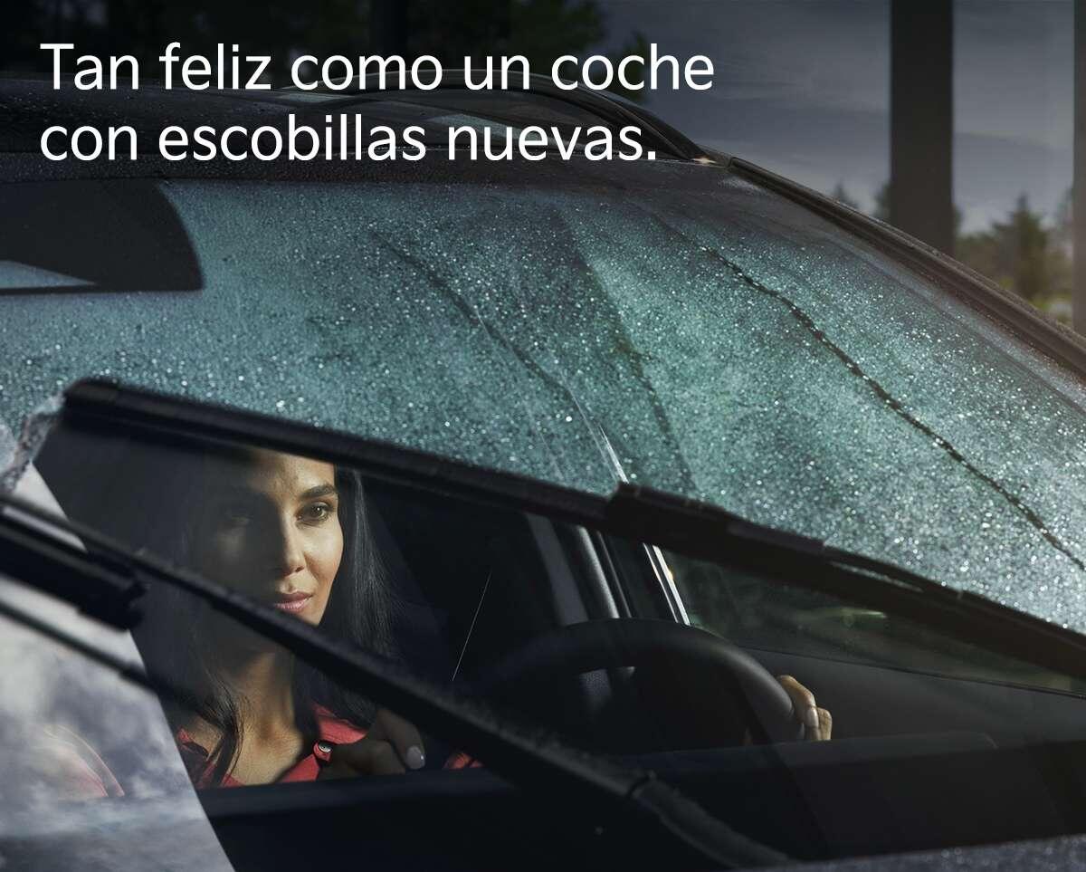 ¡Cambia tu Luna Parabrisas y obtén Escobillas de Regalo!