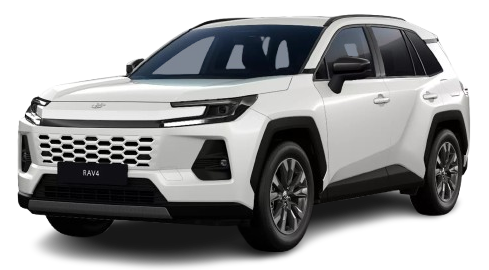 Toyota RAV4 híbrido Madrid 